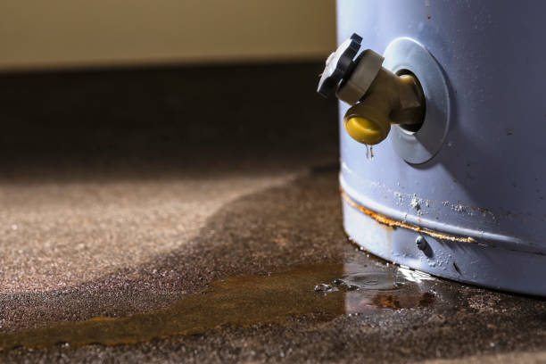 Best Professional water damage repair  in Garner, NC