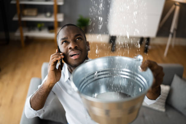 Best Professional water damage repair  in Garner, NC