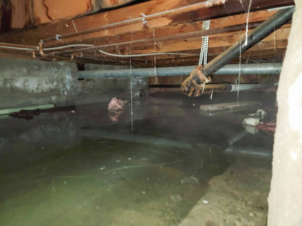 Best Water damage restoration near me  in Garner, NC