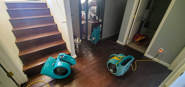 Best Flood damage cleanup  in Garner, NC