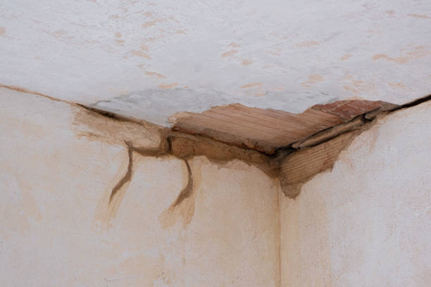 Best Flooded house restoration  in Garner, NC