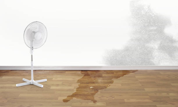 Best Water damage restoration cost  in Garner, NC