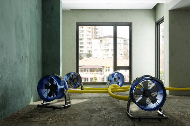 Best Mold removal after water damage  in Garner, NC
